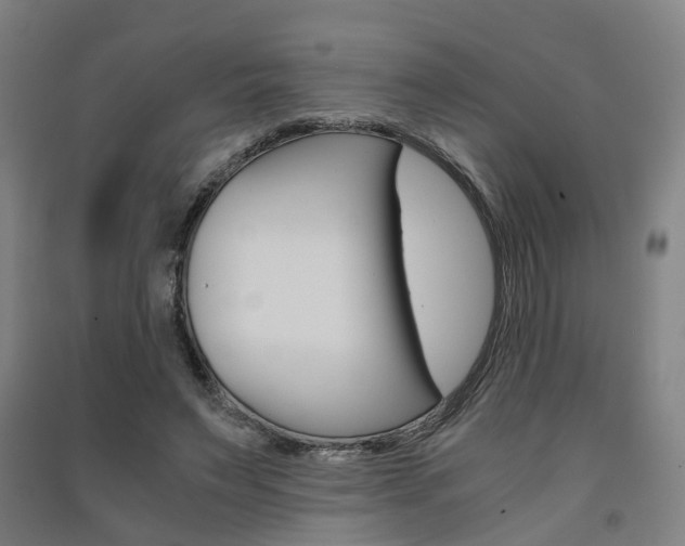 X0000091570495200708200954