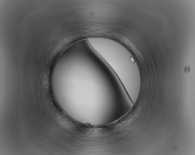X0000091570497200708200954