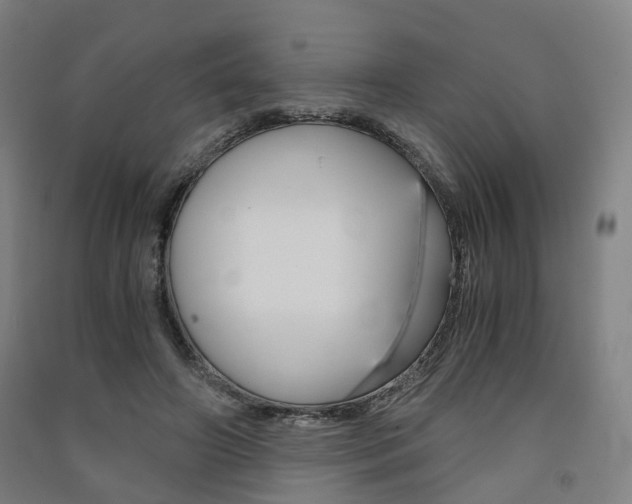 X0000091570498200708200954