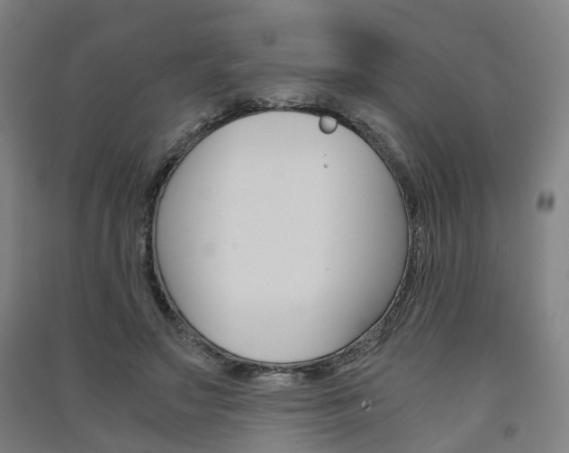 X0000091570499200708200954