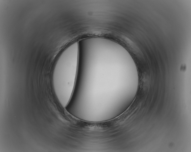 X0000091570500200708200954