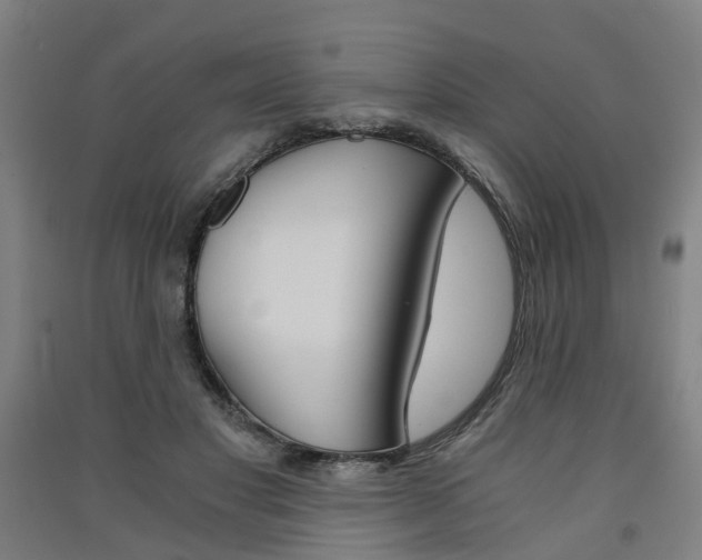 X0000091570501200708200954