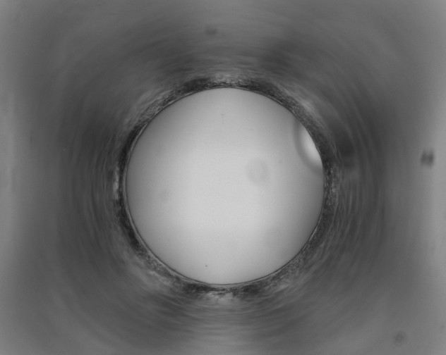 X0000091570502200708200954
