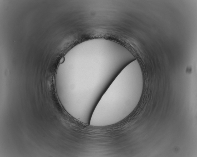 X0000091570503200708200954