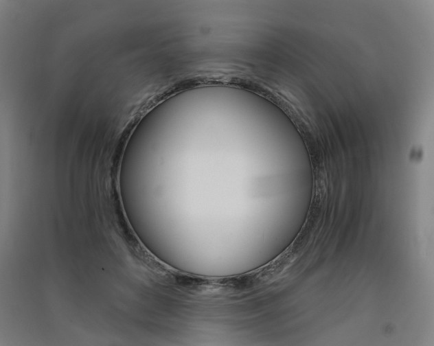 X0000091570504200708200954