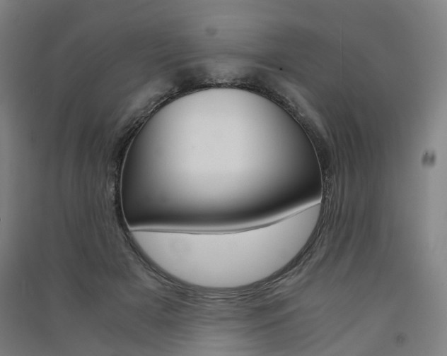 X0000091570505200708200954