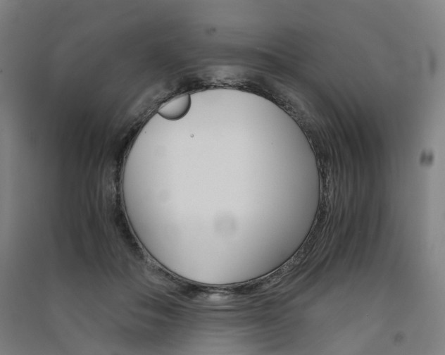 X0000091570506200708200954