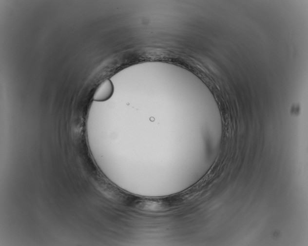 X0000091570507200708200954