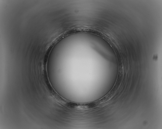 X0000091570508200708200954