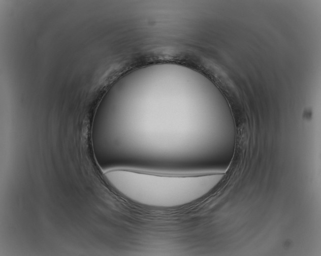 X0000091570509200708200954