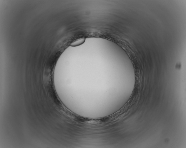X0000091570511200708200954