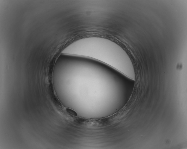 X0000091570512200708200954