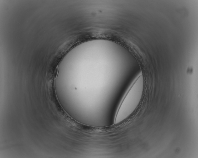 X0000091570513200708200954
