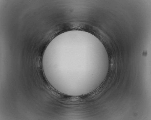 X0000091570514200708200954