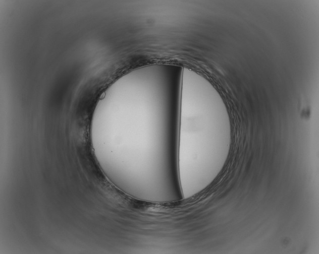 X0000091570515200708200954