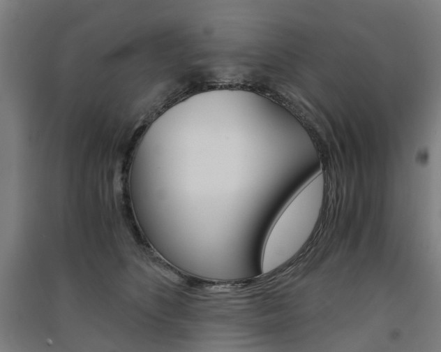 X0000091570516200708200954