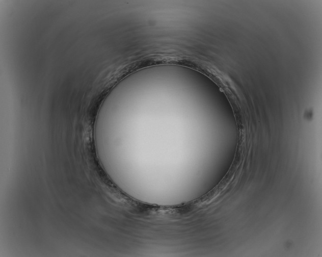 X0000091570517200708200954