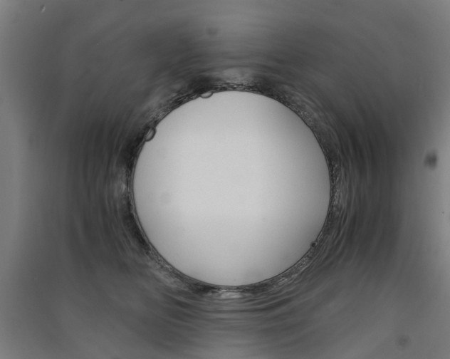 X0000091570518200708200954