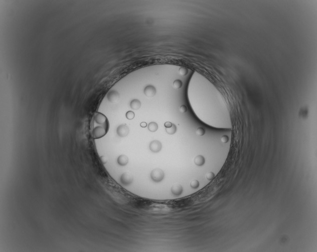 X0000091570519200708200954