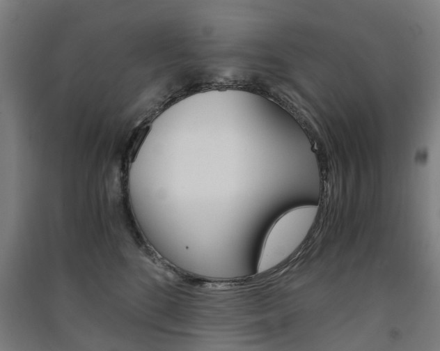 X0000091570520200708200954