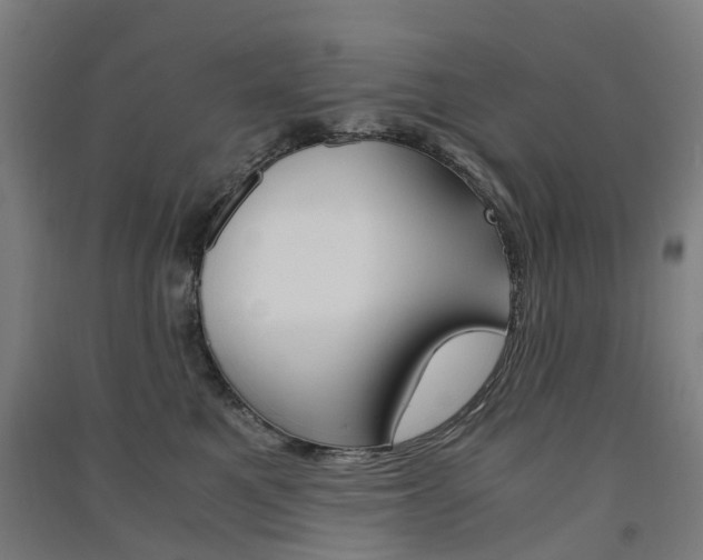 X0000091570521200708200954