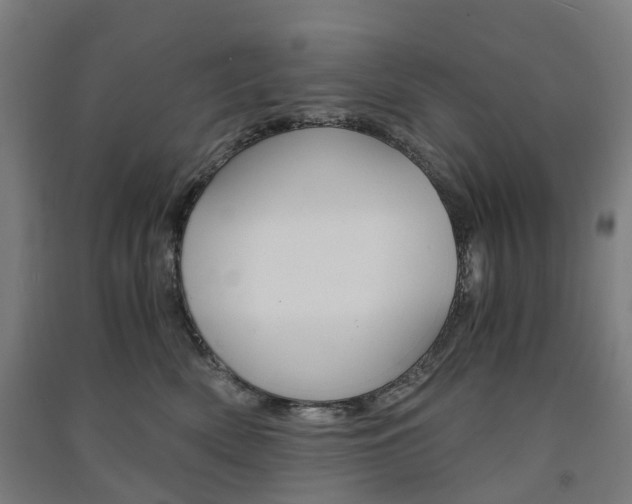 X0000091570522200708200954
