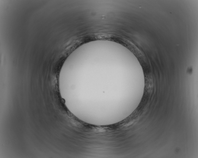 X0000091570523200708200954