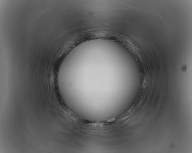 X0000091570524200708200954
