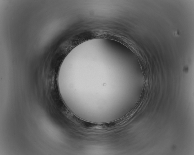 X0000091570525200708200954