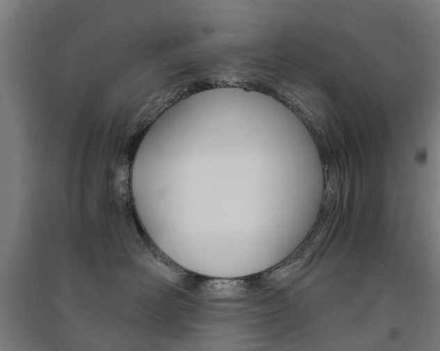 X0000091570526200708200953
