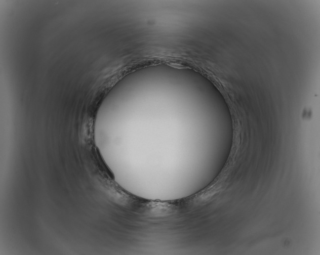 X0000091570528200708200953