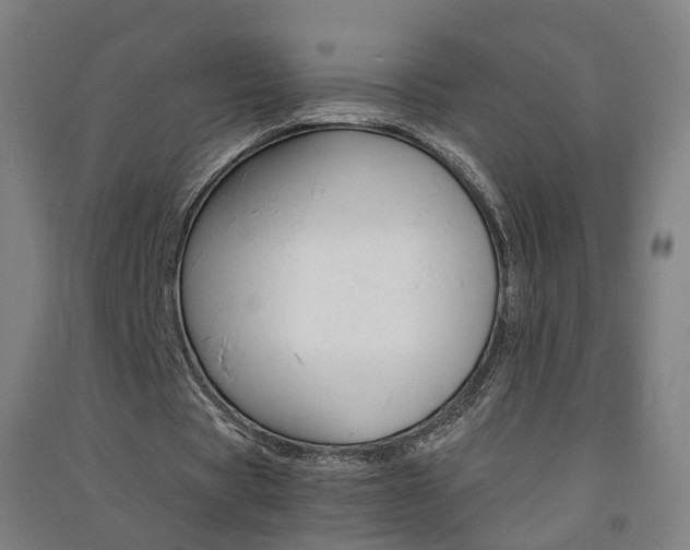 X0000091570529200708200953