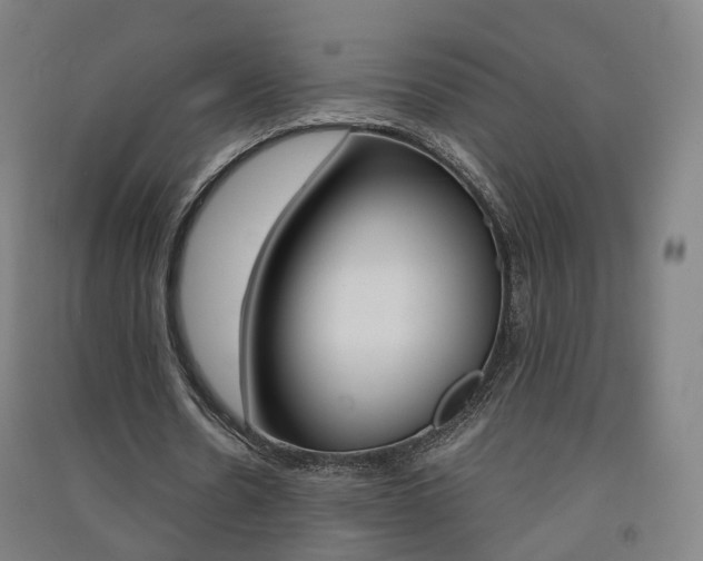 X0000091570530200708200953