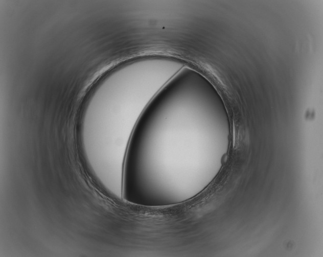 X0000091570531200708200953