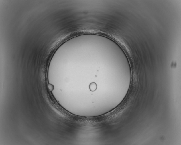 X0000091570533200708200953