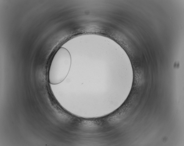 X0000091570534200708200953