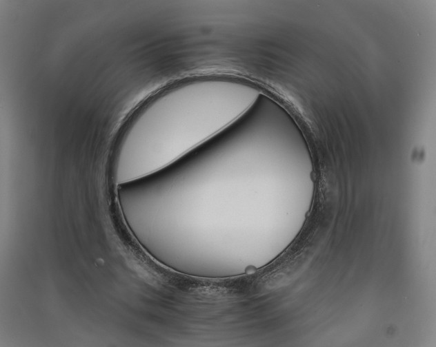 X0000091570535200708200953