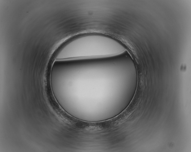 X0000091570536200708200953