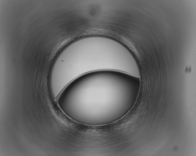 X0000091570538200708200953