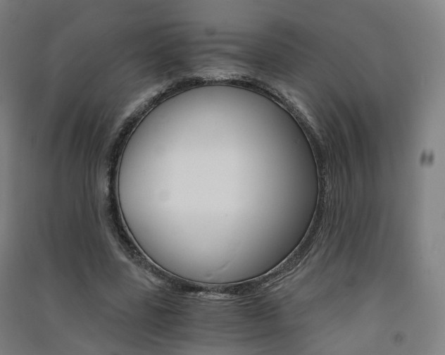 X0000091570539200708200953