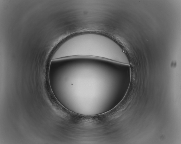 X0000091570540200708200953