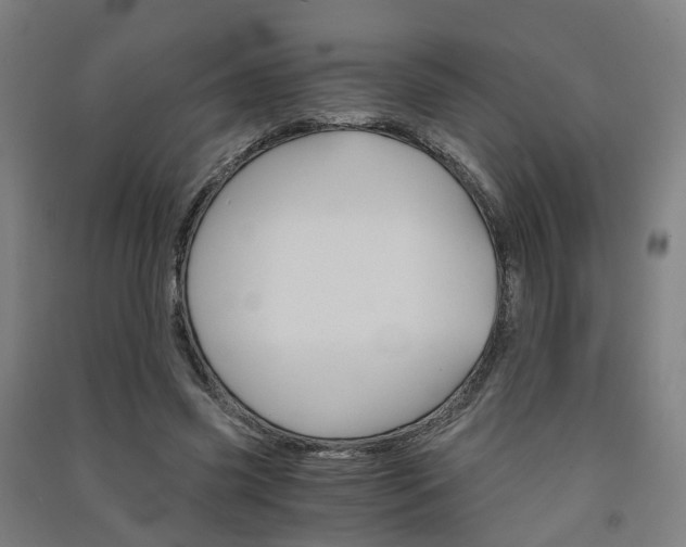 X0000091570541200708200953