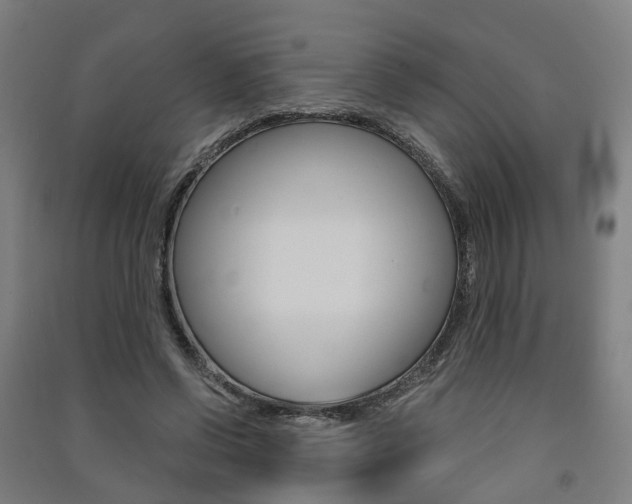 X0000091570542200708200953