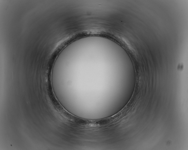 X0000091570543200708200953