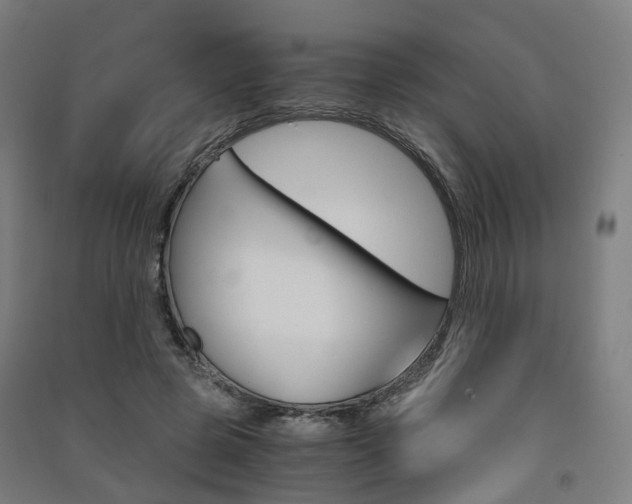 X0000091570545200708200953