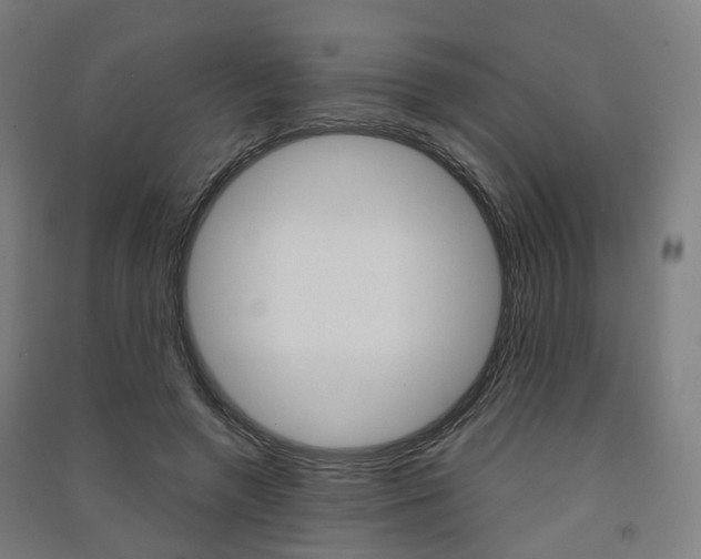 X0000091570546200708200953