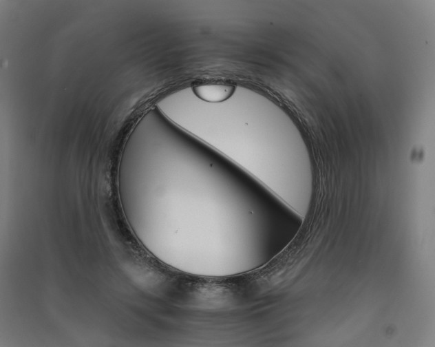 X0000091570547200708200953