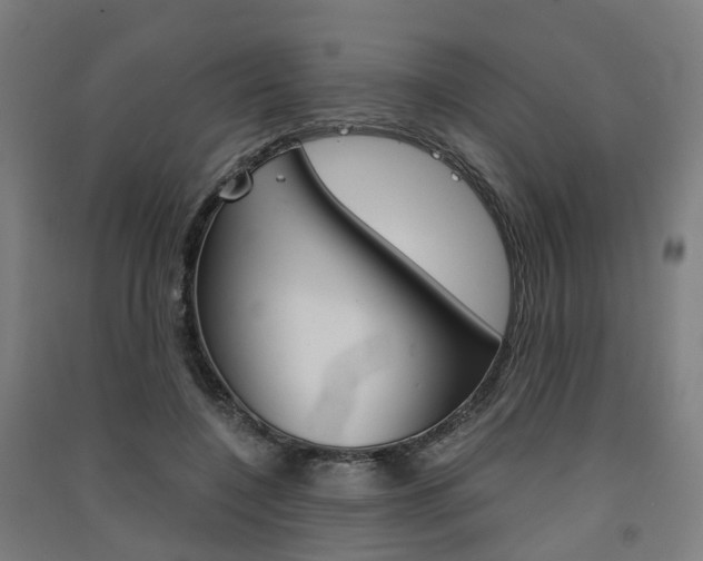 X0000091570548200708200953