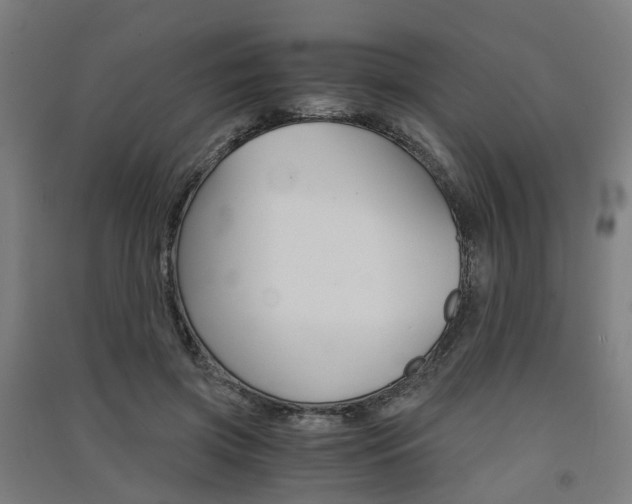 X0000091570549200708200953