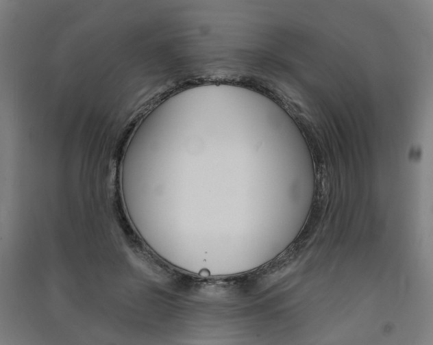 X0000091570550200708200953